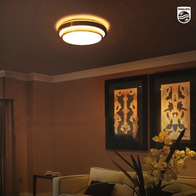 Pendant & Ceiling Lights